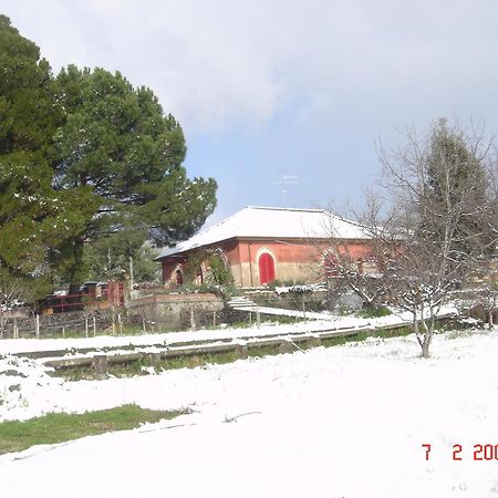 زافيرانا إتنيا B&B Sotto I Pini المظهر الخارجي الصورة