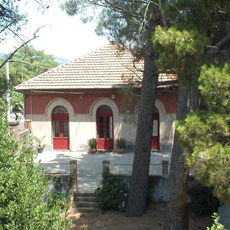 زافيرانا إتنيا B&B Sotto I Pini المظهر الخارجي الصورة