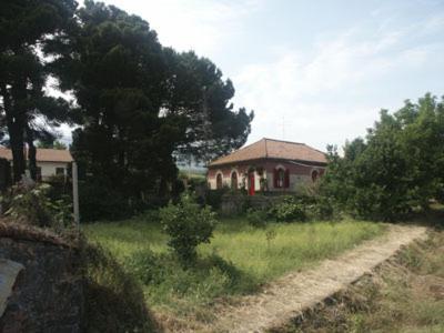 زافيرانا إتنيا B&B Sotto I Pini المظهر الخارجي الصورة