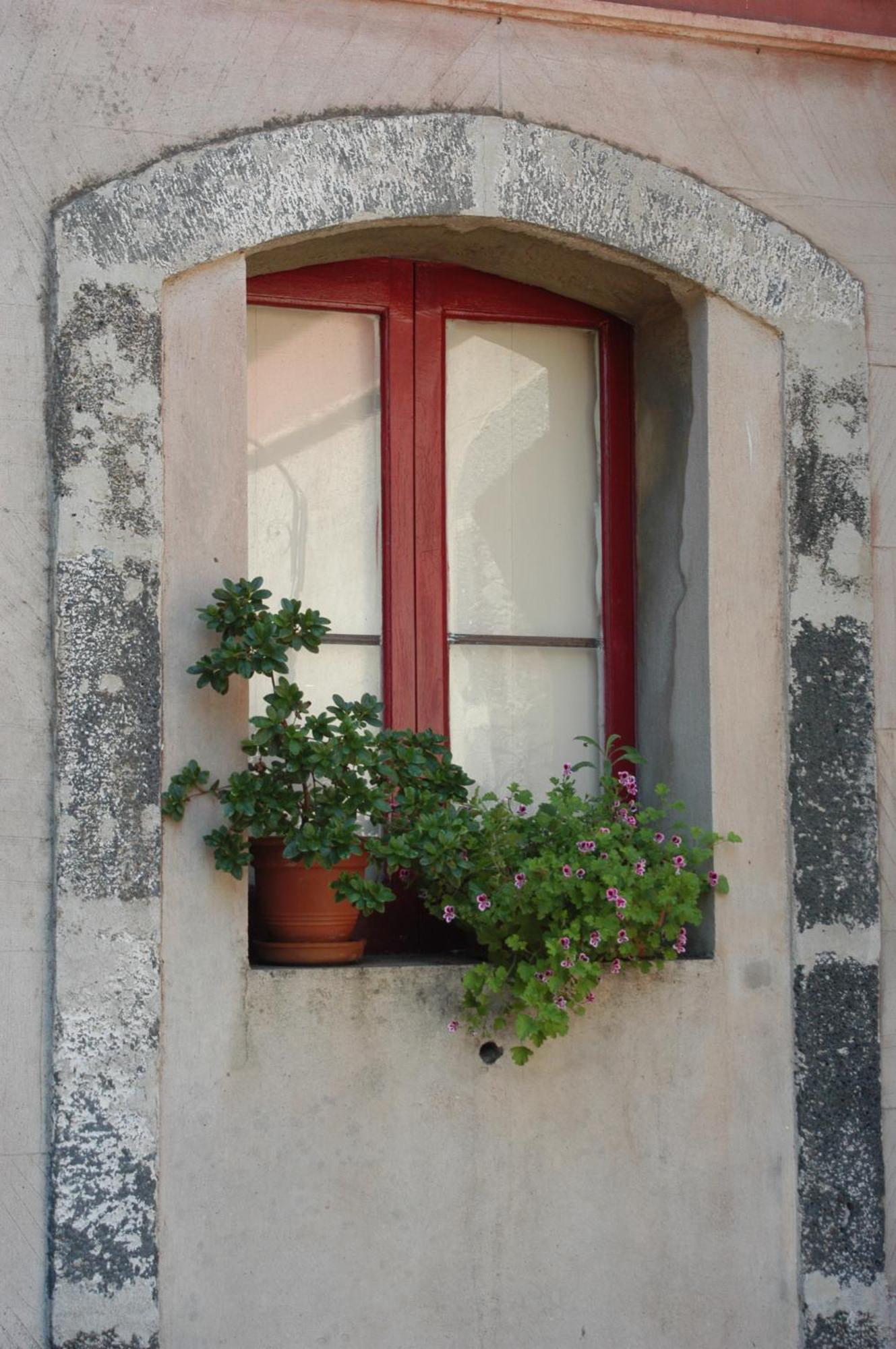 زافيرانا إتنيا B&B Sotto I Pini المظهر الخارجي الصورة